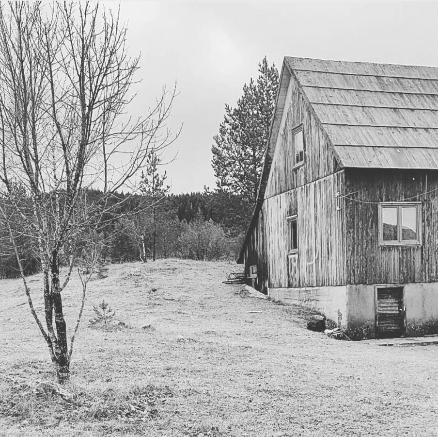 Vukov Konak - Wolf'S Lodge Žabljak Kültér fotó