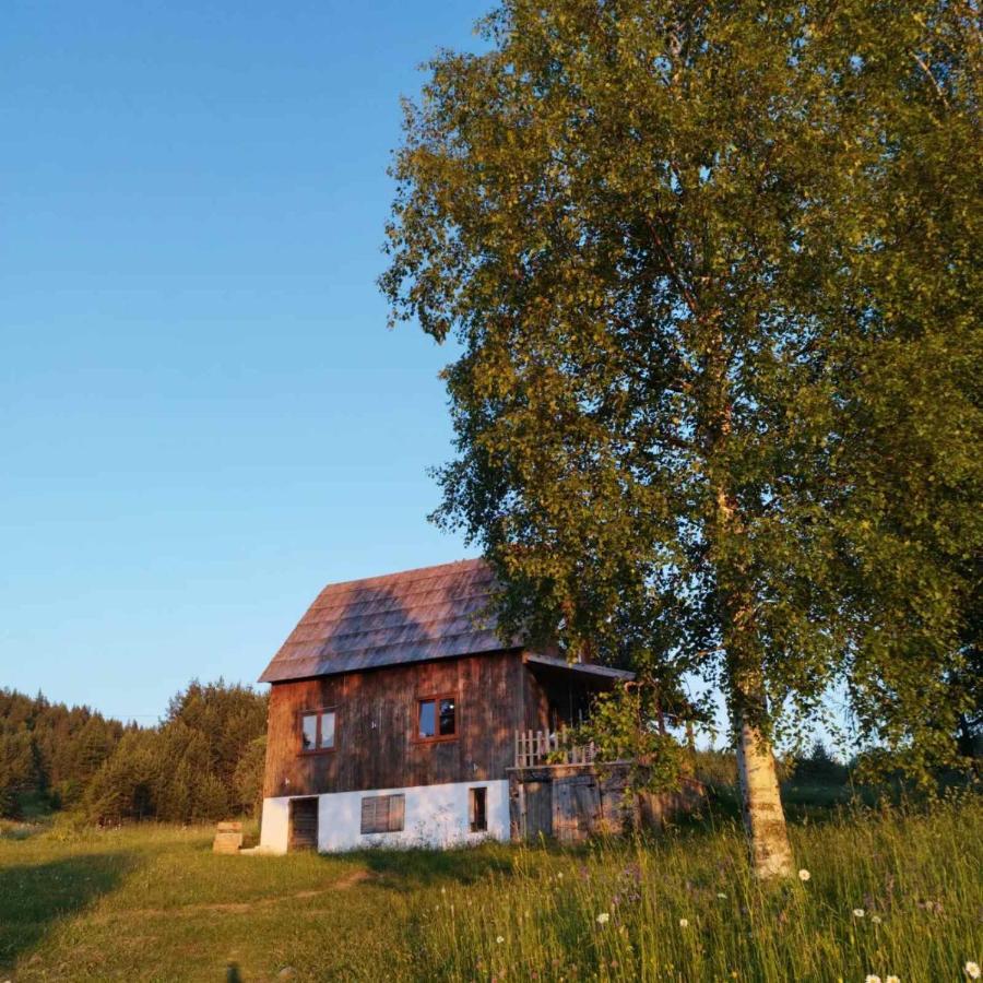 Vukov Konak - Wolf'S Lodge Žabljak Kültér fotó