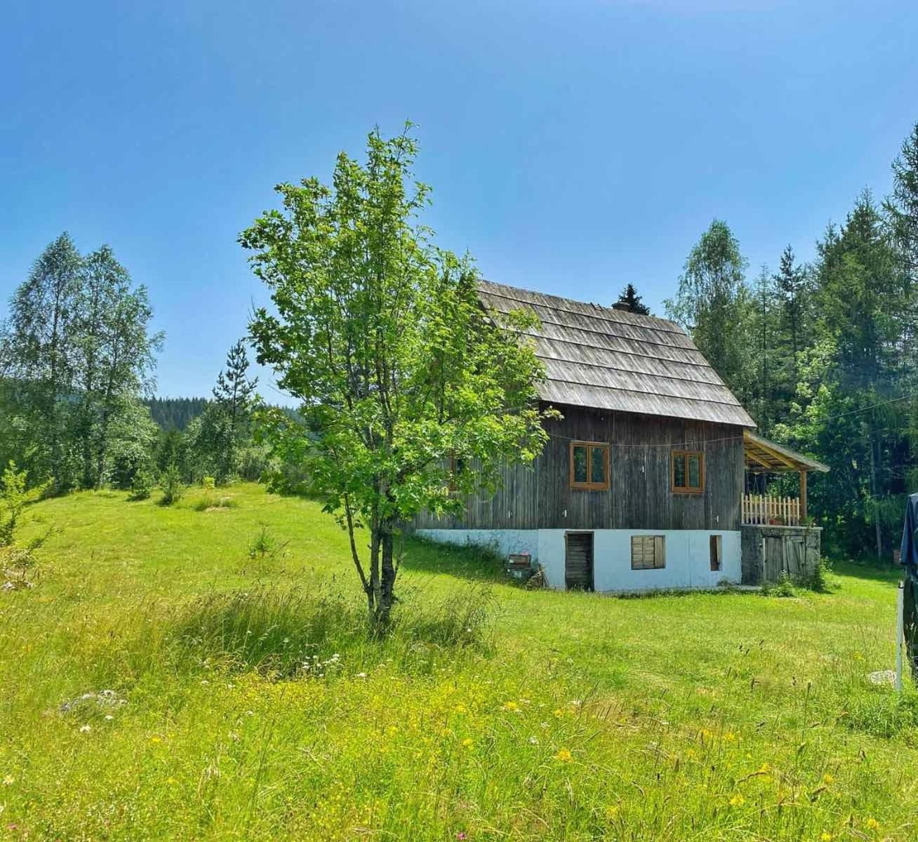 Vukov Konak - Wolf'S Lodge Žabljak Kültér fotó