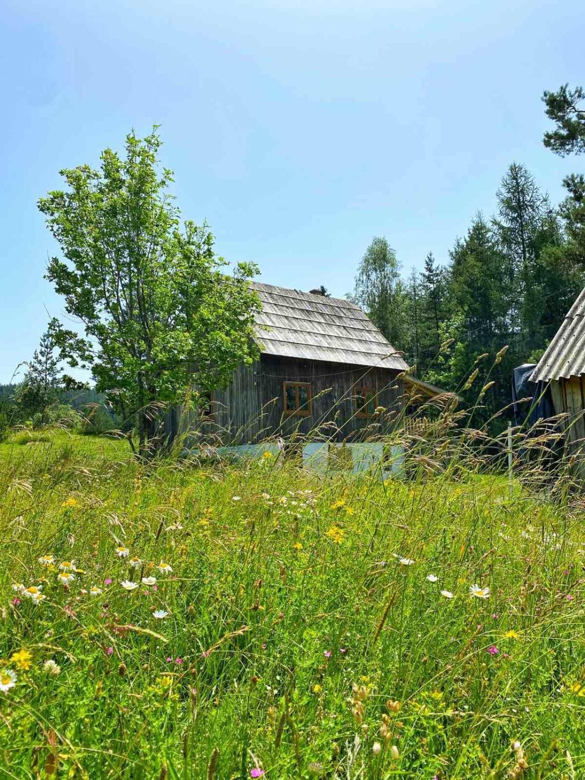 Vukov Konak - Wolf'S Lodge Žabljak Kültér fotó