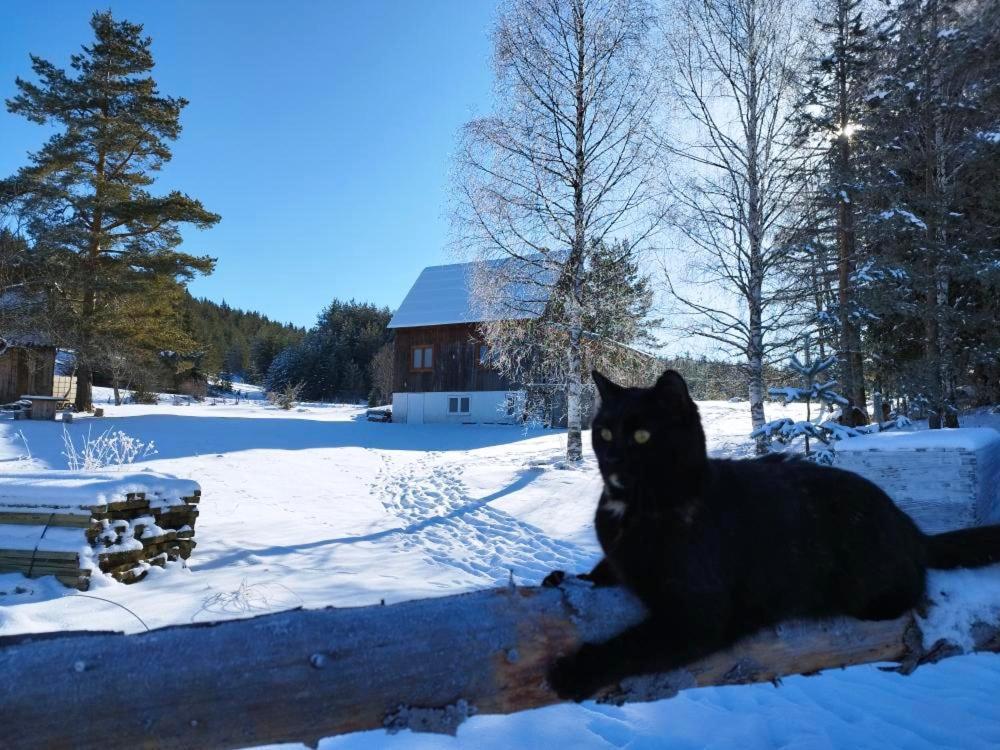 Vukov Konak - Wolf'S Lodge Žabljak Kültér fotó